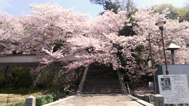 ふるさといやしの村 健康維持センター | 広島県呉市倉橋町 TEL:0823-50-2885